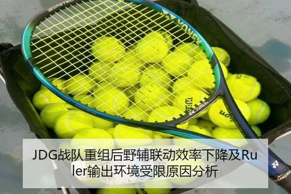 JDG战队重组后野辅联动效率下降及Ruler输出环境受限原因分析